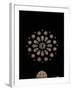 West Rose Window with the Last Judgment-null-Framed Giclee Print