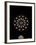 West Rose Window with the Last Judgment-null-Framed Giclee Print