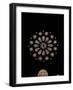 West Rose Window with the Last Judgment-null-Framed Giclee Print