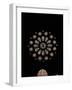 West Rose Window with the Last Judgment-null-Framed Giclee Print