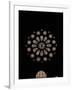 West Rose Window with the Last Judgment-null-Framed Giclee Print