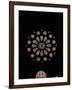 West Rose Window with the Last Judgment-null-Framed Giclee Print