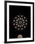 West Rose Window with the Last Judgment-null-Framed Giclee Print