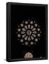 Essential Black