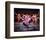 West Side Story (1961)-null-Framed Photo