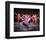 West Side Story (1961)-null-Framed Photo