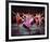 West Side Story (1961)-null-Framed Photo