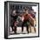 West Side Story, George Chakiris, 1961-null-Framed Photo