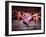 West Side Story, Rita Moreno, 1961-null-Framed Photo