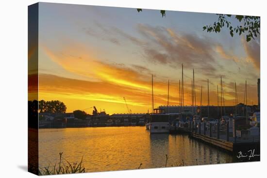 West Slip Sunrise-5fishcreative-Stretched Canvas