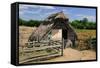 West Stow Country Park and Anglo-Saxon Village, Bury St Edmunds, Suffolk-Peter Thompson-Framed Stretched Canvas