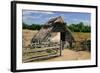 West Stow Country Park and Anglo-Saxon Village, Bury St Edmunds, Suffolk-Peter Thompson-Framed Photographic Print