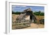 West Stow Country Park and Anglo-Saxon Village, Bury St Edmunds, Suffolk-Peter Thompson-Framed Photographic Print