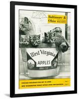 West Virginia Apples-null-Framed Giclee Print