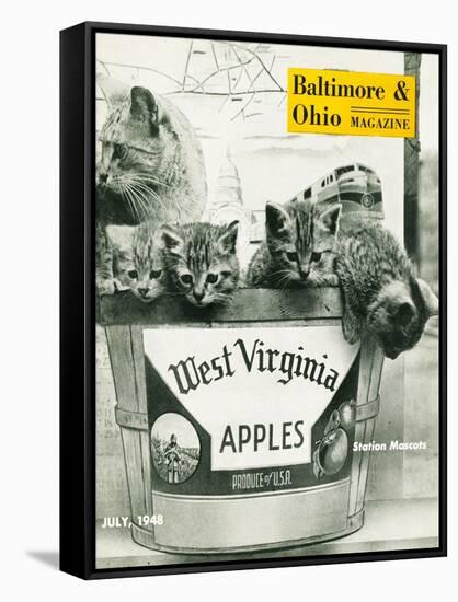 West Virginia Apples-null-Framed Stretched Canvas