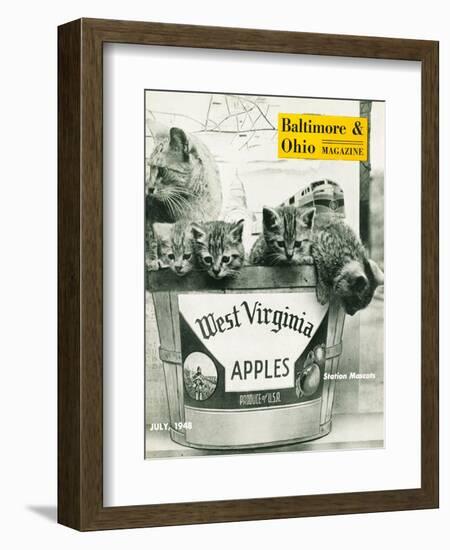 West Virginia Apples-null-Framed Giclee Print