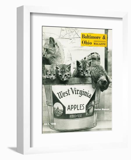 West Virginia Apples-null-Framed Giclee Print