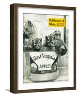 West Virginia Apples-null-Framed Giclee Print