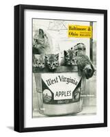 West Virginia Apples-null-Framed Giclee Print