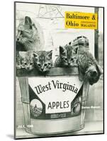 West Virginia Apples-null-Mounted Giclee Print