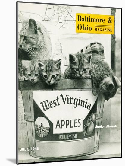 West Virginia Apples-null-Mounted Giclee Print