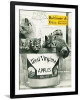 West Virginia Apples-null-Framed Giclee Print