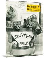 West Virginia Apples-null-Mounted Giclee Print