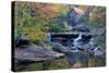 West Virginia, Babcock State Park. Glade Creek Grist Mill-Jaynes Gallery-Stretched Canvas