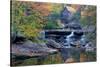 West Virginia, Babcock State Park. Glade Creek Grist Mill-Jaynes Gallery-Stretched Canvas