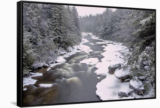 West Virginia, Blackwater Falls SP. Stream in Winter Landscape-Jay O'brien-Framed Stretched Canvas