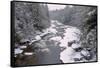 West Virginia, Blackwater Falls SP. Stream in Winter Landscape-Jay O'brien-Framed Stretched Canvas