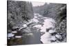 West Virginia, Blackwater Falls SP. Stream in Winter Landscape-Jay O'brien-Stretched Canvas