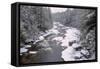 West Virginia, Blackwater Falls SP. Stream in Winter Landscape-Jay O'brien-Framed Stretched Canvas