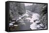 West Virginia, Blackwater Falls SP. Stream in Winter Landscape-Jay O'brien-Framed Stretched Canvas