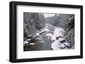 West Virginia, Blackwater Falls SP. Stream in Winter Landscape-Jay O'brien-Framed Photographic Print