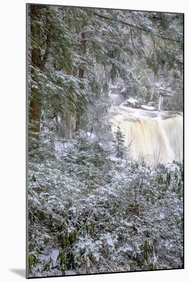 West Virginia, Blackwater Falls State Park. Blackwater Falls in Winter-Jaynes Gallery-Mounted Photographic Print