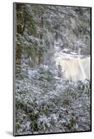 West Virginia, Blackwater Falls State Park. Blackwater Falls in Winter-Jaynes Gallery-Mounted Photographic Print