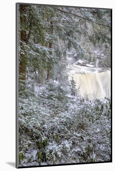 West Virginia, Blackwater Falls State Park. Blackwater Falls in Winter-Jaynes Gallery-Mounted Photographic Print