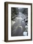 West Virginia, Blackwater Falls State Park. Blackwater River Rapids in Winter-Jaynes Gallery-Framed Photographic Print