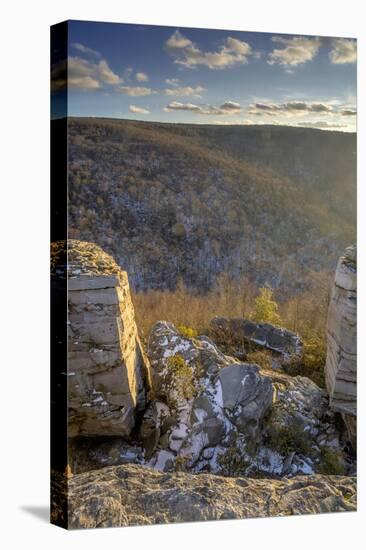 West Virginia, Blackwater Falls State Park. Landscape from Lindy Point-Jaynes Gallery-Stretched Canvas