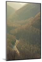 West Virginia, Blackwater Falls State Park. Mountain Sunset from Lindy Point-Jaynes Gallery-Mounted Photographic Print
