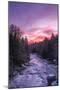 West Virginia, Blackwater Falls State Park. Sunrise on Blackwater River-Jaynes Gallery-Mounted Photographic Print