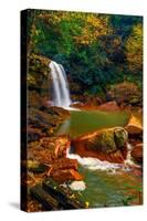 West Virginia Falls-Steven Maxx-Stretched Canvas