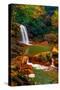 West Virginia Falls-Steven Maxx-Stretched Canvas