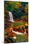 West Virginia Falls-Steven Maxx-Mounted Photographic Print