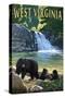 West Virginia - Waterfall and Bears-Lantern Press-Stretched Canvas