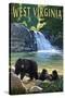 West Virginia - Waterfall and Bears-Lantern Press-Stretched Canvas