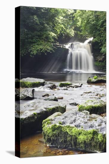 Westburton Waterfall, Westburton, Yorkshire Dales, Yorkshire, England, United Kingdom, Europe-Markus Lange-Stretched Canvas