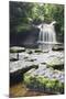 Westburton Waterfall, Westburton, Yorkshire Dales, Yorkshire, England, United Kingdom, Europe-Markus Lange-Mounted Photographic Print