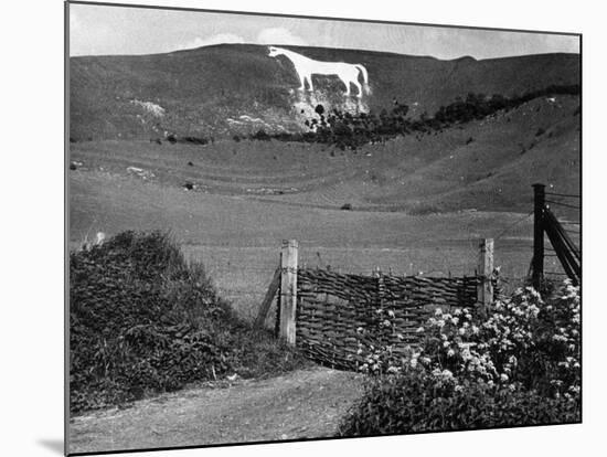 Westbury White Horse-null-Mounted Photographic Print